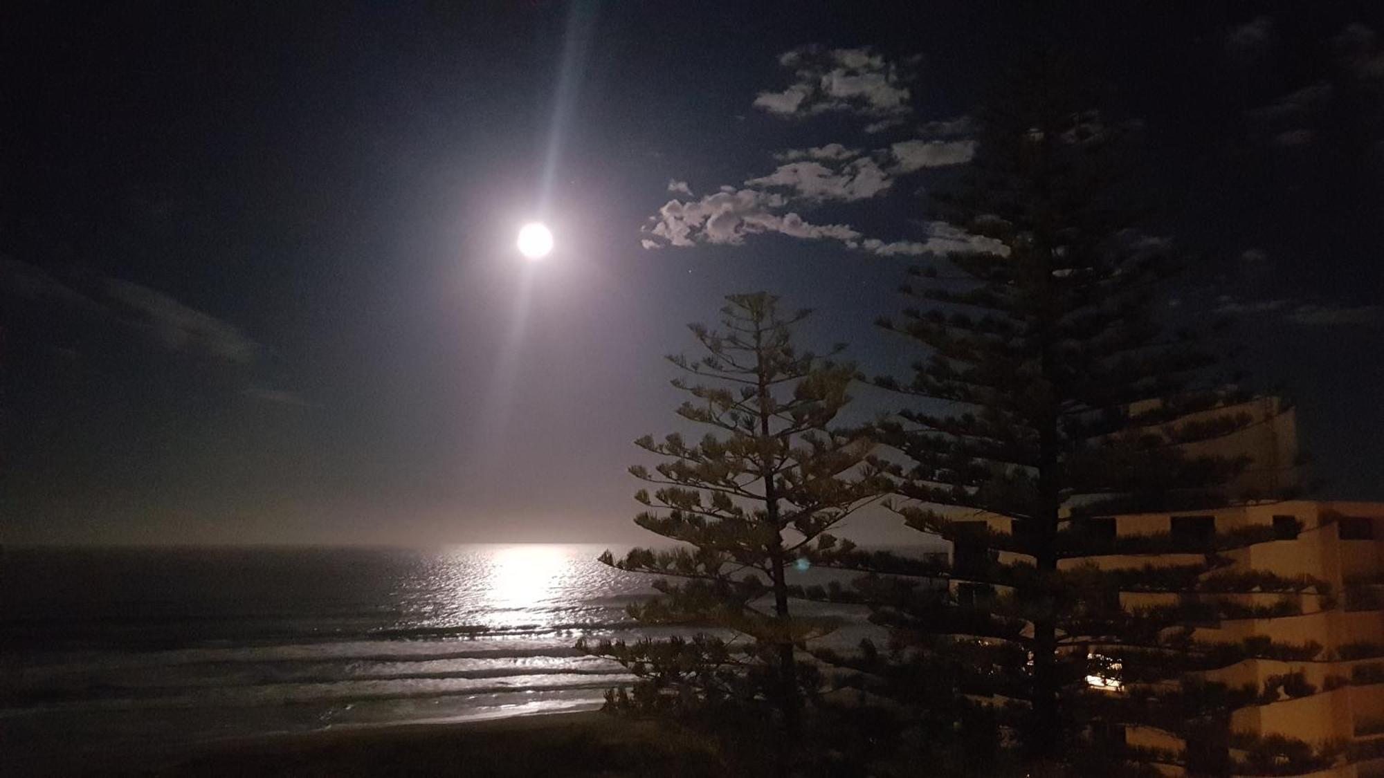 Surfers Chalet Gold Coast Dış mekan fotoğraf